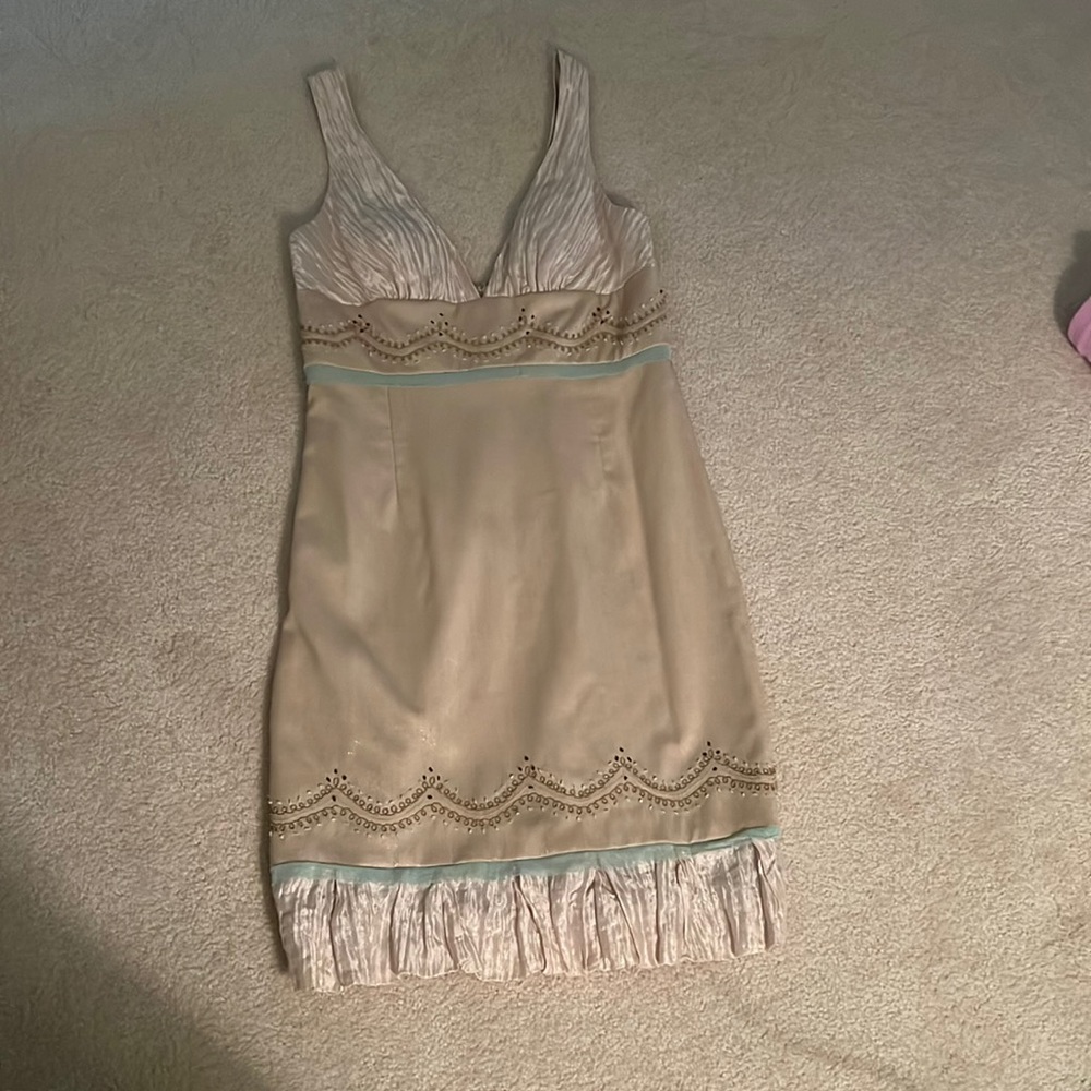 Nicole miller dress